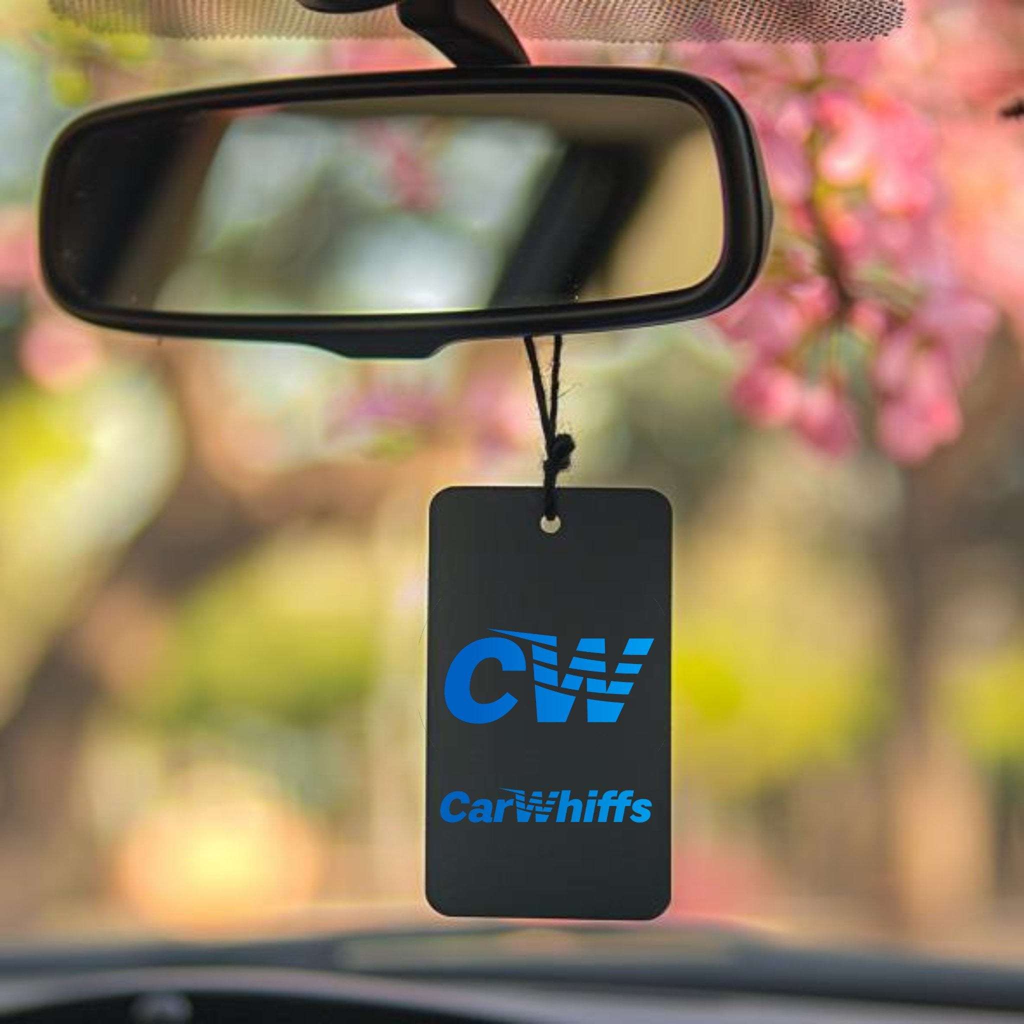 Why Your Car Needs a Freshener and How to Pick the Best One - CarWhiffs